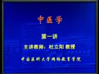 中医学视频教程 31讲 中国医科大学